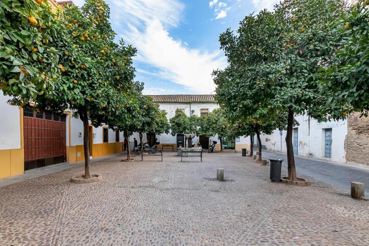 Bhost - Regina III Appartement Córdoba Buitenkant foto